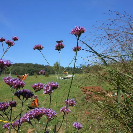 Am Eifelsteig, Golbach Daire