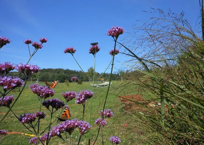 Am Eifelsteig, Golbach Appartement