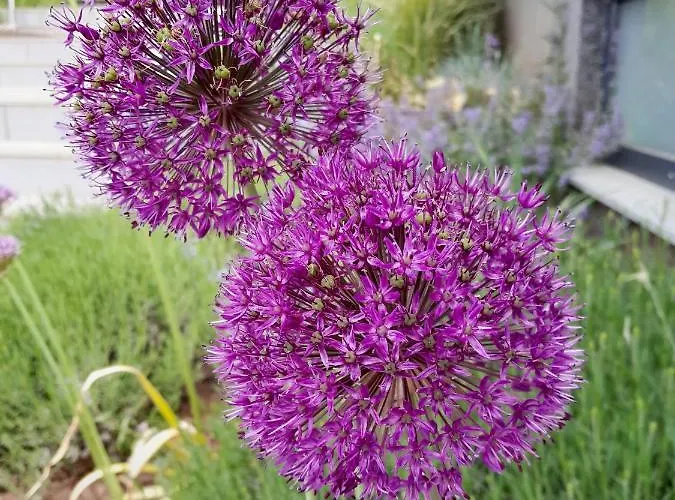 Apartmán Am Eifelsteig, Golbach Kall